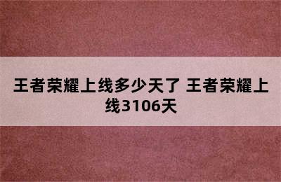 王者荣耀上线多少天了 王者荣耀上线3106天